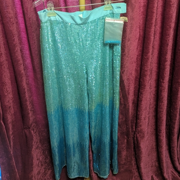 Beautiful Escada Couture Ombre Sequin Wide Leg Pants Beaded See PatBo - Picture 3 of 11